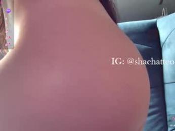 shachatte chaturbate stream image