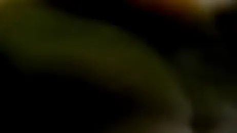 Wet_Girlxxx stripchat stream image