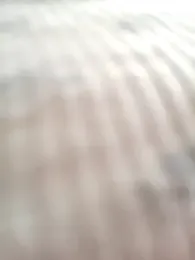 eva-2023 stripchat stream image