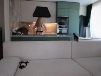 love_you_to123 chaturbate stream image