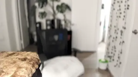 Alix_Valentine stripchat stream image