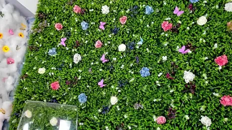 BabyAylin stripchat stream image