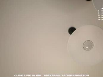 taitehambelton chaturbate stream image