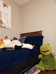 AmethystFoxx stripchat stream image