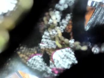 sexual_addiction chaturbate stream image