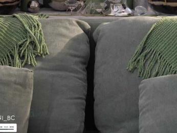 Taanni bongacams stream image