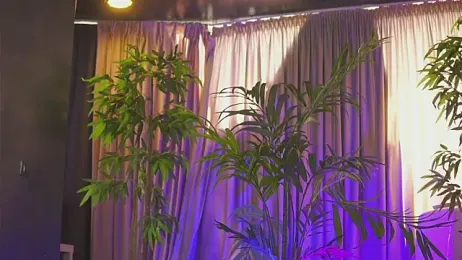 HotSkinnyX stripchat stream image