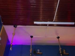 lady-brownn camsoda stream image