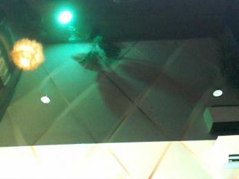 OksanaOcean bongacams stream image