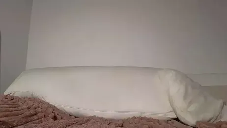 shortybig_official stripchat stream image