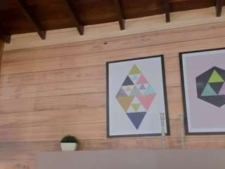 ammyscott camsoda stream image