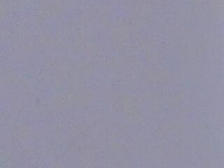 Tanya Hanks flirt4free stream image