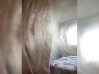 PALMIIRA bongacams stream image