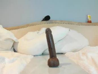 eatmygingersnapps chaturbate stream image