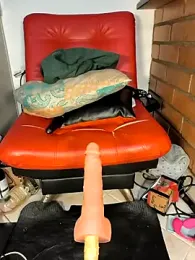 shelby_kutter stripchat stream image