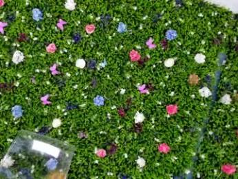 babyaylin chaturbate stream image