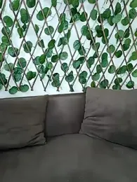 Bold-Cat stripchat stream image