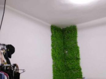 EmilyxJames bongacams stream image