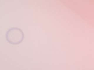 alyssia-collins camsoda stream image