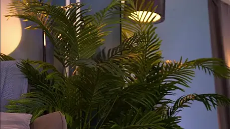 _keeti_ stripchat stream image