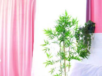 ArtTeasee bongacams stream image