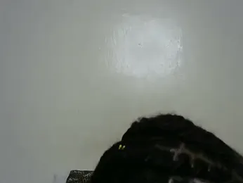 Rasta_tattooed stripchat stream image