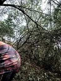 Simone_Miller stripchat stream image