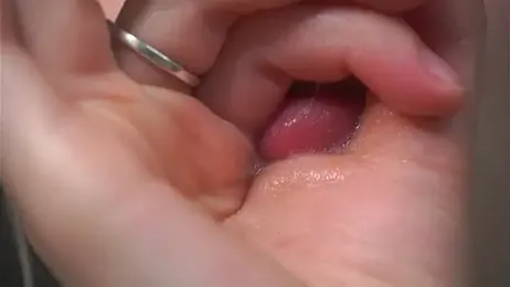 BreFree stripchat stream image