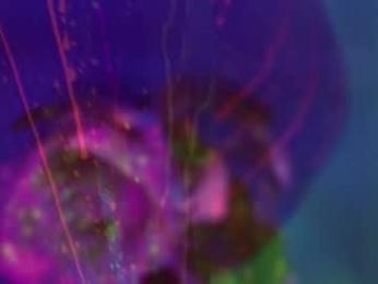 heybanan chaturbate stream image