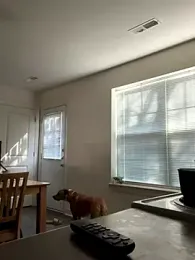 AshleyLoveee stripchat stream image