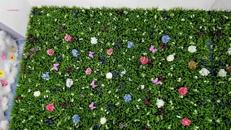 BabyAylin stripchat stream image