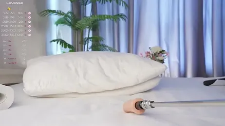 karollovea stripchat stream image