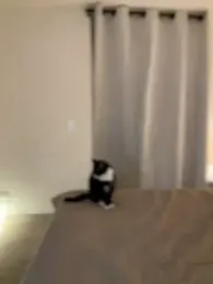 Im_Valentina stripchat stream image