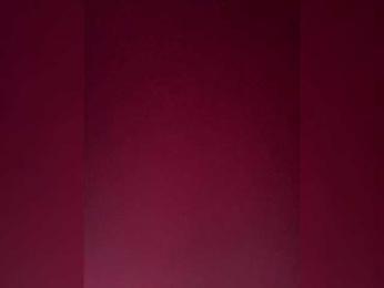 PALMIIRA bongacams stream image