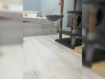 CuteKitty00 bongacams stream image