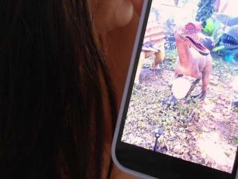 Theowonder bongacams stream image