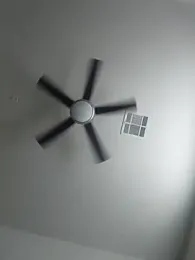 cinnaminnie stripchat stream image