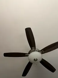 jaseyrae stripchat stream image