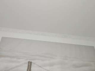 apotheosiss camsoda stream image