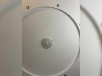 VICTORIA_ bongacams stream image