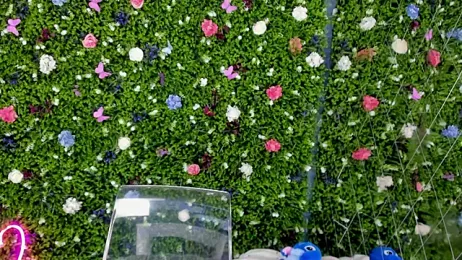 BabyAylin stripchat stream image