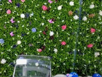 babyaylin chaturbate stream image