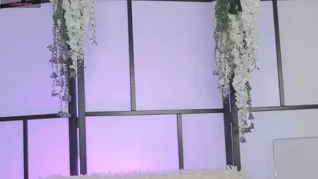 Xenomy stripchat stream image