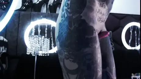 TyphoidMary stripchat stream image