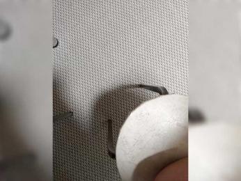 Angelia22 bongacams stream image