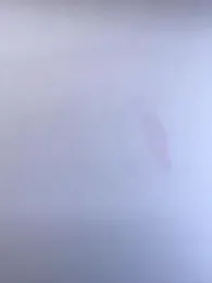 Rose-euphoria stripchat stream image