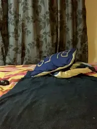 cardibabe stripchat stream image