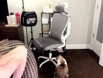 eve003300 chaturbate stream image