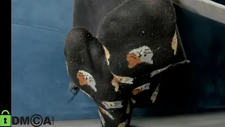 Holy_Silvia stripchat stream image