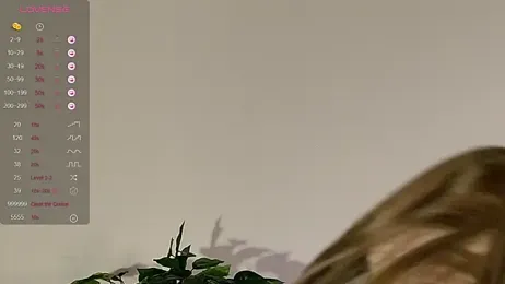 Jane_Meys stripchat stream image